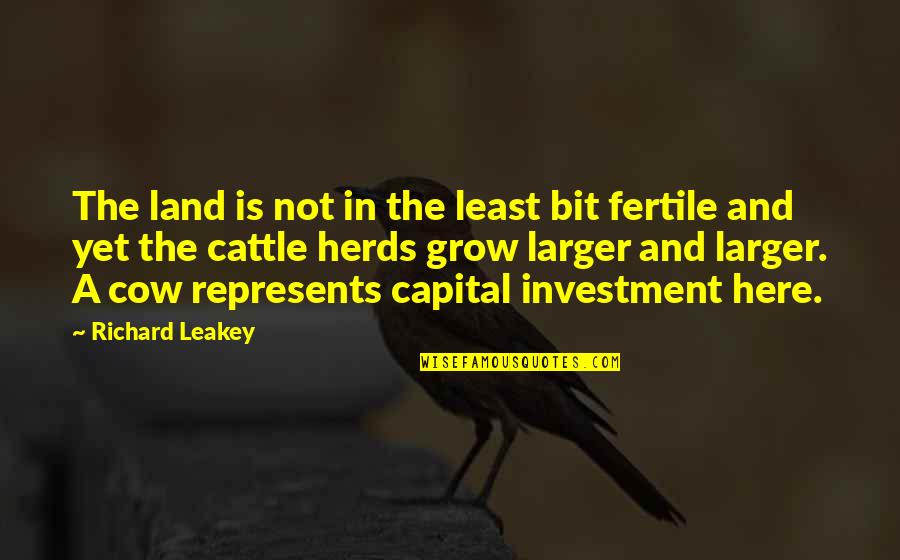 Artibus Quotes By Richard Leakey: The land is not in the least bit