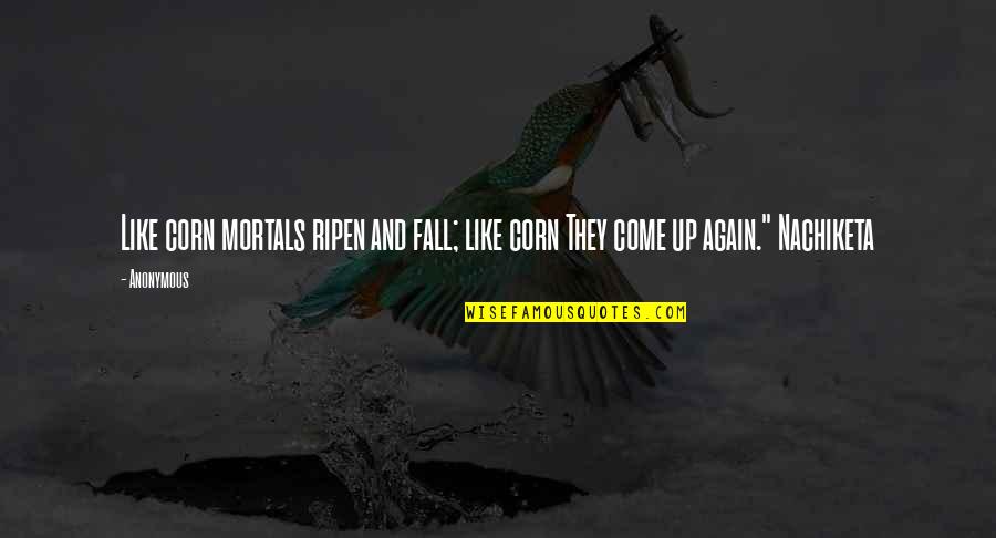 Articulos De Divulgacion Quotes By Anonymous: Like corn mortals ripen and fall; like corn