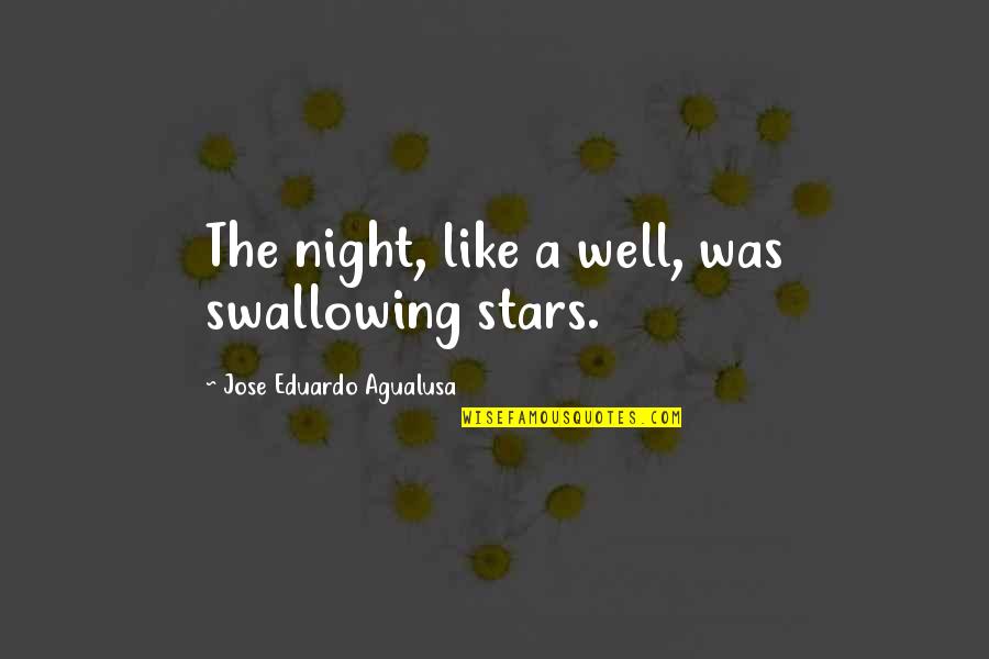 Artificial Disc Replacement Quotes By Jose Eduardo Agualusa: The night, like a well, was swallowing stars.