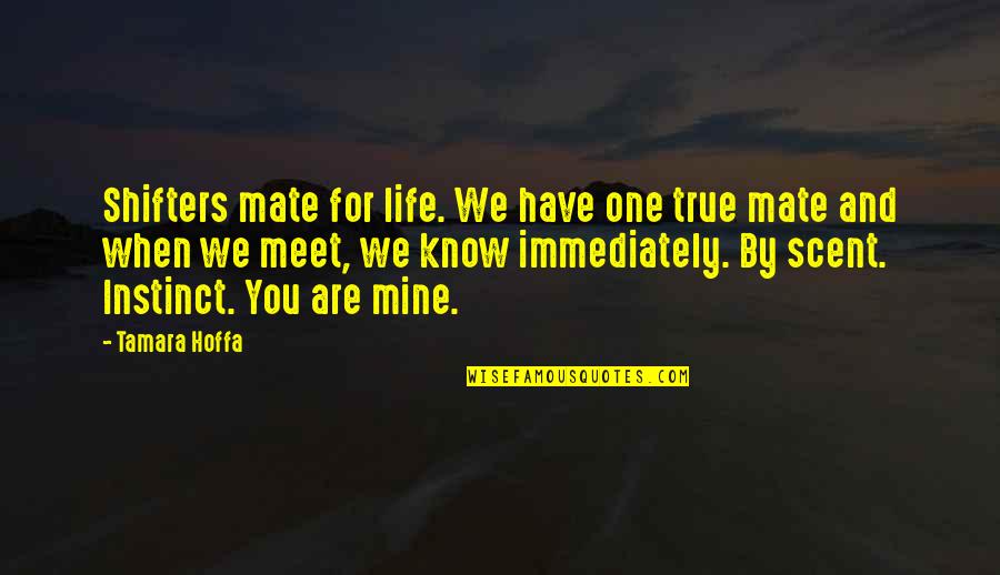 Artificial Rose Quotes By Tamara Hoffa: Shifters mate for life. We have one true