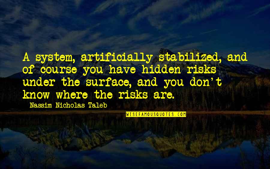 Artificially Quotes By Nassim Nicholas Taleb: A system, artificially stabilized, and of course you