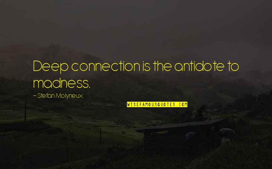 Artificies Quotes By Stefan Molyneux: Deep connection is the antidote to madness.