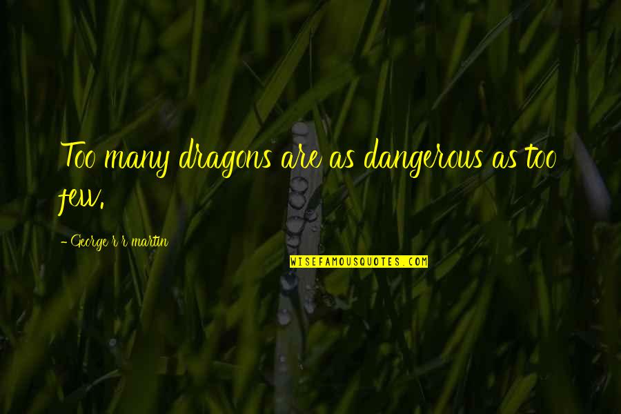 Artilleryman Dan Quotes By George R R Martin: Too many dragons are as dangerous as too