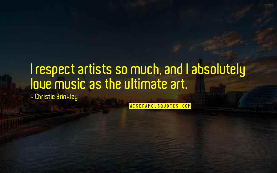 Artists And Art Quotes By Christie Brinkley: I respect artists so much, and I absolutely