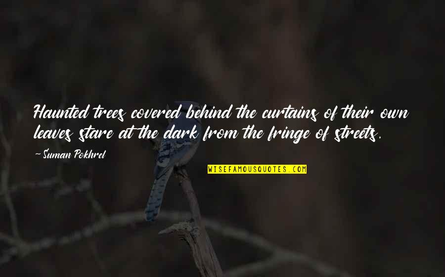Artists And God Quotes By Suman Pokhrel: Haunted trees covered behind the curtains of their