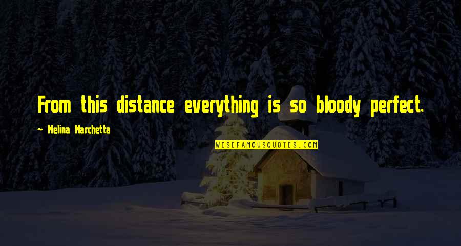 Artsy Pics Quotes By Melina Marchetta: From this distance everything is so bloody perfect.