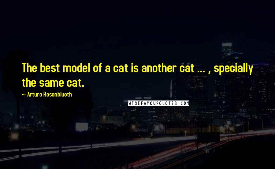 Arturo Rosenblueth quotes: The best model of a cat is another cat ... , specially the same cat.