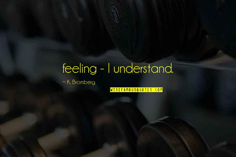 Aruban Quotes By K. Bromberg: feeling - I understand.