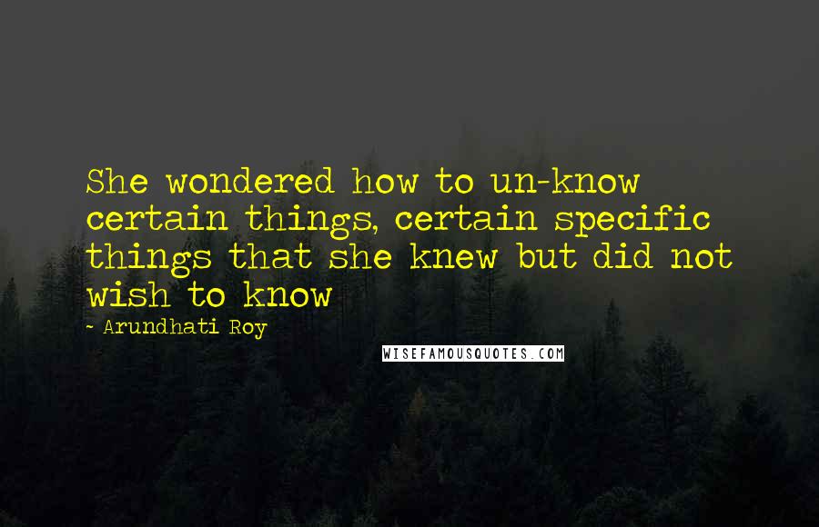 Arundhati Roy quotes: She wondered how to un-know certain things, certain specific things that she knew but did not wish to know