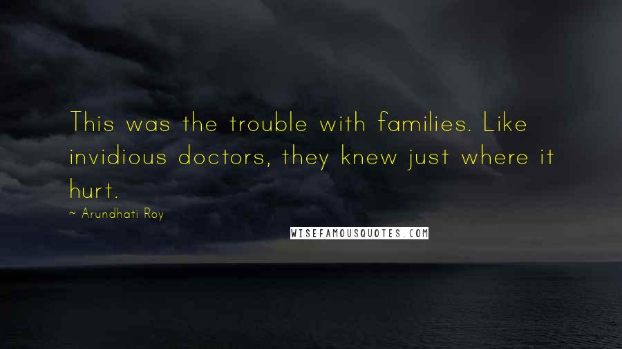 Arundhati Roy quotes: This was the trouble with families. Like invidious doctors, they knew just where it hurt.