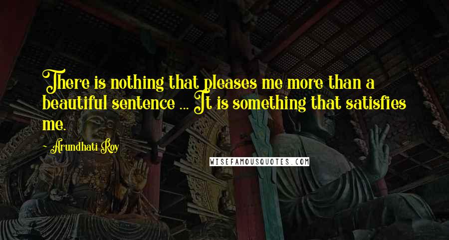 Arundhati Roy quotes: There is nothing that pleases me more than a beautiful sentence ... It is something that satisfies me.