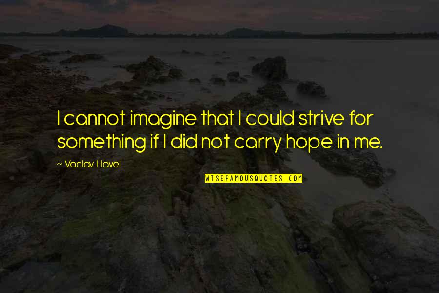 Arvind Kejriwal Inspirational Quotes By Vaclav Havel: I cannot imagine that I could strive for
