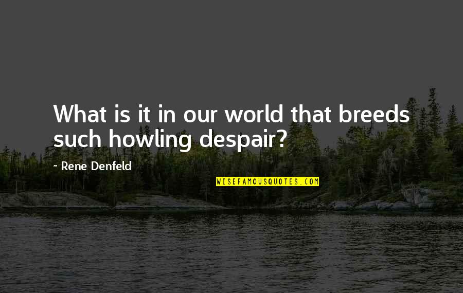 Arya Stock Quote Quotes By Rene Denfeld: What is it in our world that breeds Arya Stock Quote Quotes By Rene Denfeld: What is it in our world that breeds