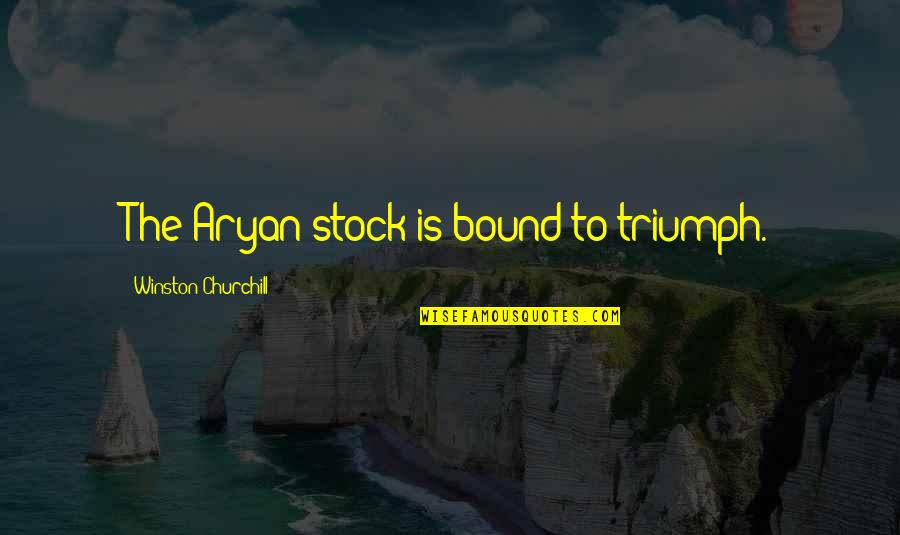 Aryan Quotes By Winston Churchill: The Aryan stock is bound to triumph.