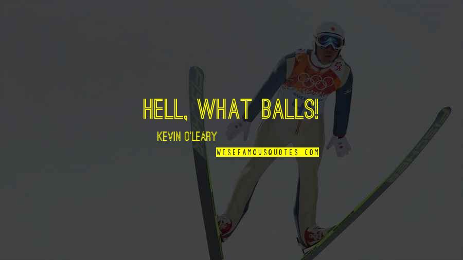 Aryanews Quotes By Kevin O'Leary: Hell, what balls!