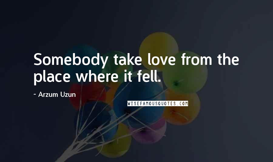 Arzum Uzun quotes: Somebody take love from the place where it fell.