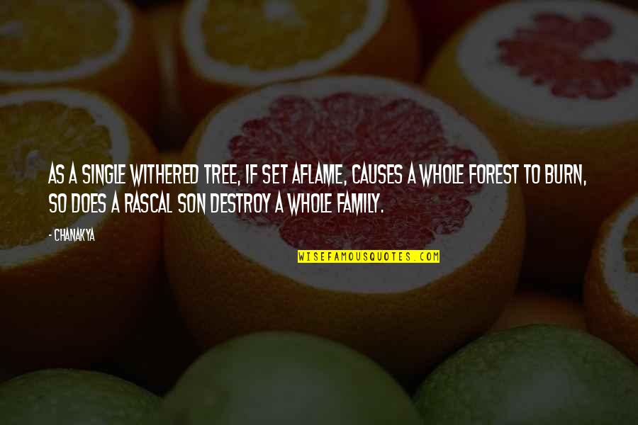 As A Family Quotes By Chanakya: As a single withered tree, if set aflame, As A Family Quotes By Chanakya: As a single withered tree, if set aflame,