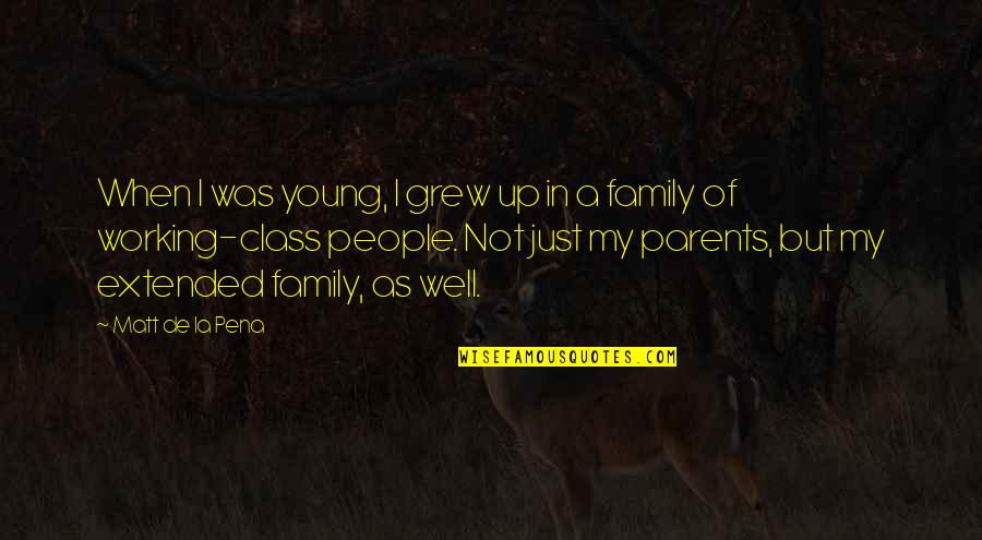 As A Family Quotes By Matt De La Pena: When I was young, I grew up in
