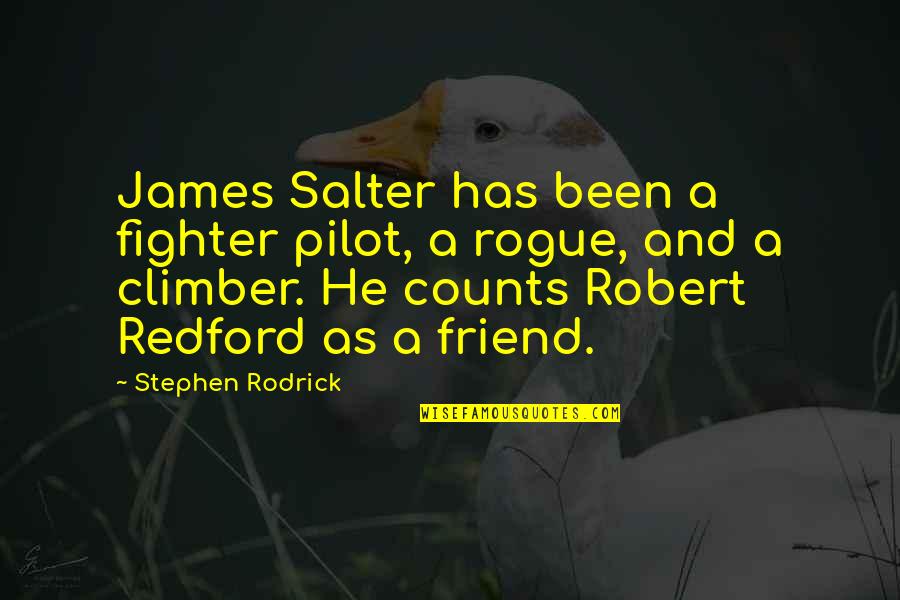 As A Friend Quotes By Stephen Rodrick: James Salter has been a fighter pilot, a