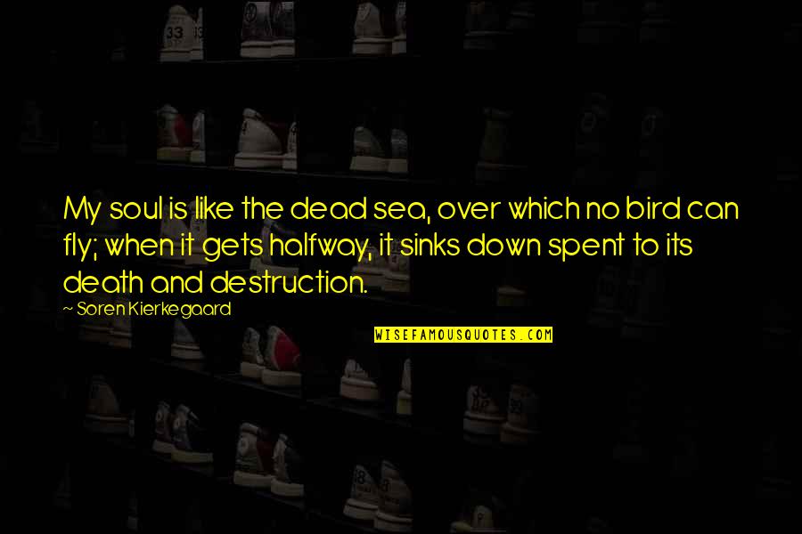 As Dead As It Gets Quotes By Soren Kierkegaard: My soul is like the dead sea, over
