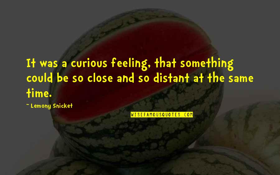 As I Learn More And More Each Day Trump Quotes By Lemony Snicket: It was a curious feeling, that something could