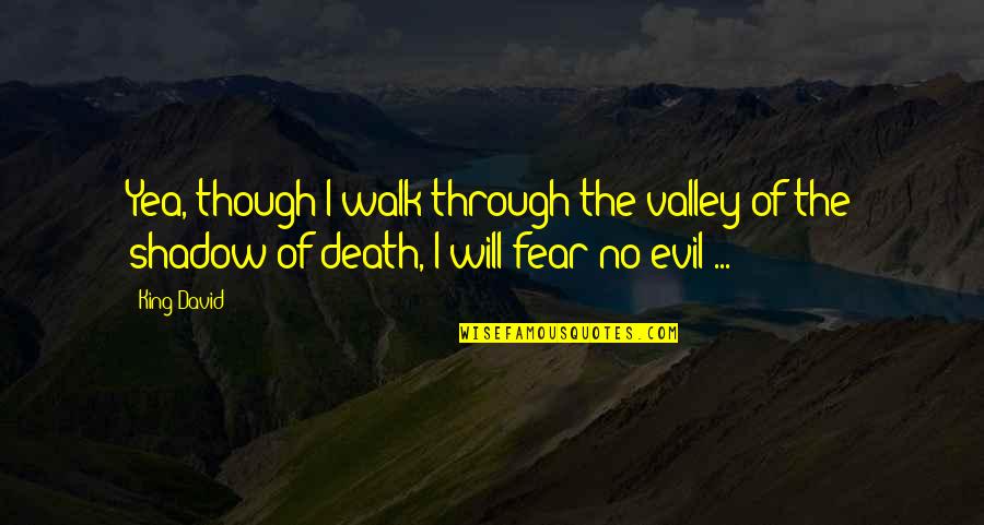 As I Walk Through The Valley Of The Shadow Of Death Quotes By King David: Yea, though I walk through the valley of