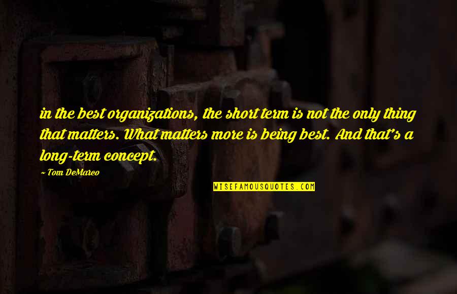 As Long As It Matters Quotes By Tom DeMarco: in the best organizations, the short term is