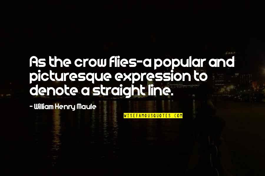 As Straight As Quotes By William Henry Maule: As the crow flies-a popular and picturesque expression