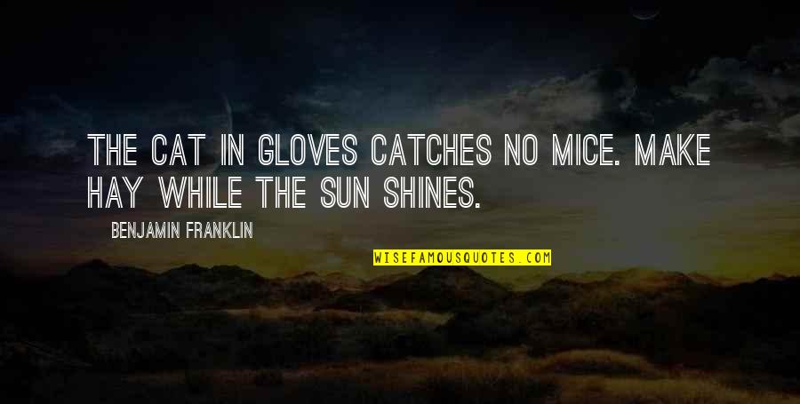 As The Sun Shines Quotes By Benjamin Franklin: The cat in gloves catches no mice. Make