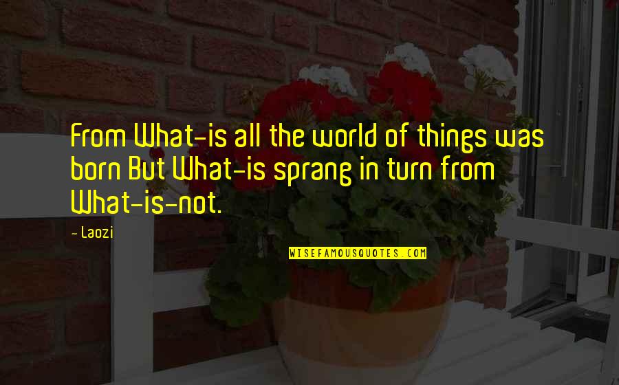 As The World Turns Quotes By Laozi: From What-is all the world of things was