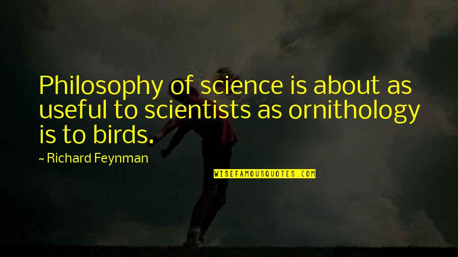 As Useful As Quotes By Richard Feynman: Philosophy of science is about as useful to