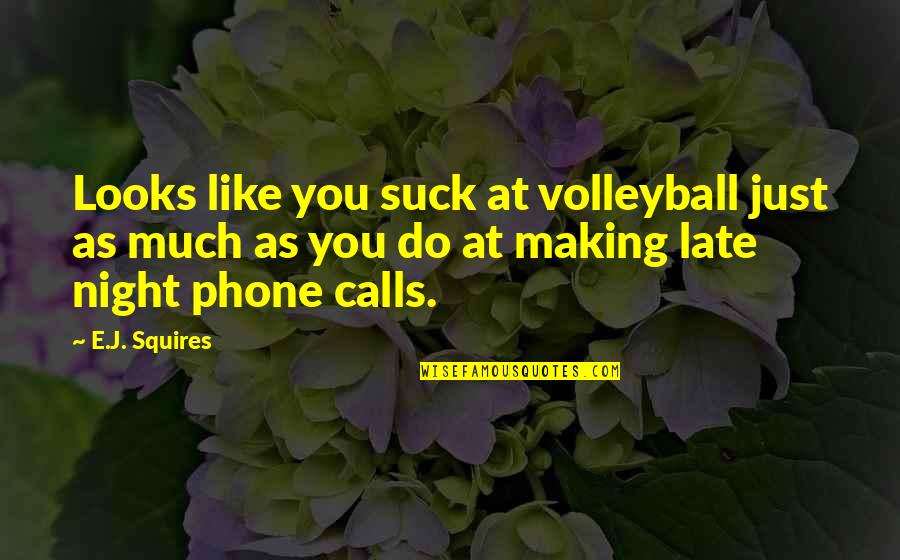 As You Like Quotes By E.J. Squires: Looks like you suck at volleyball just as