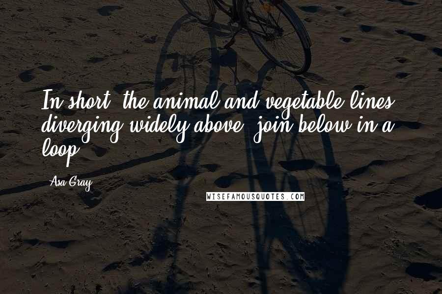 Asa Gray quotes: In short, the animal and vegetable lines, diverging widely above, join below in a loop.