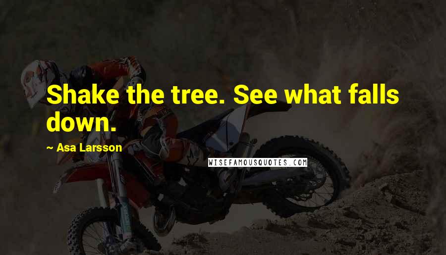 Asa Larsson quotes: Shake the tree. See what falls down.