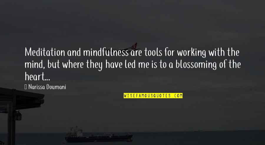Asadollahi Quotes By Narissa Doumani: Meditation and mindfulness are tools for working with Asadollahi Quotes By Narissa Doumani: Meditation and mindfulness are tools for working with
