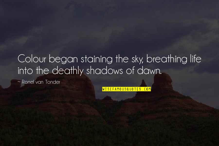 Asadorian Inc Quotes By Ronel Van Tonder: Colour began staining the sky, breathing life into