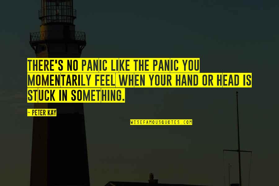 Asafetida Quotes By Peter Kay: There's no panic like the panic you momentarily