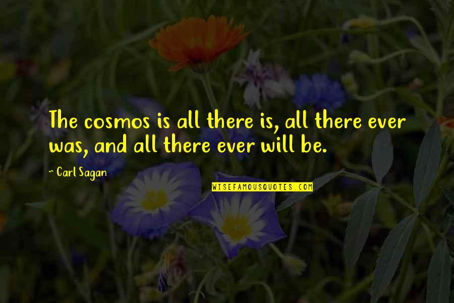 Asafoetida In Hindi Quotes By Carl Sagan: The cosmos is all there is, all there