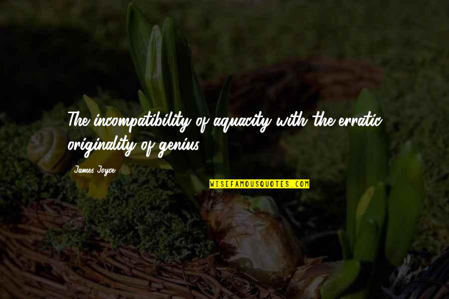 Asaka Japanese Quotes By James Joyce: The incompatibility of aquacity with the erratic originality