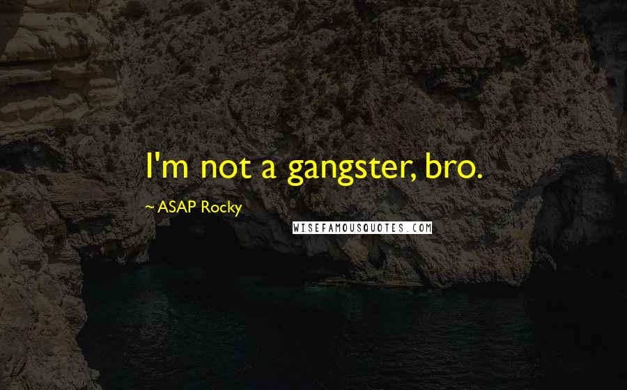 ASAP Rocky quotes: I'm not a gangster, bro.