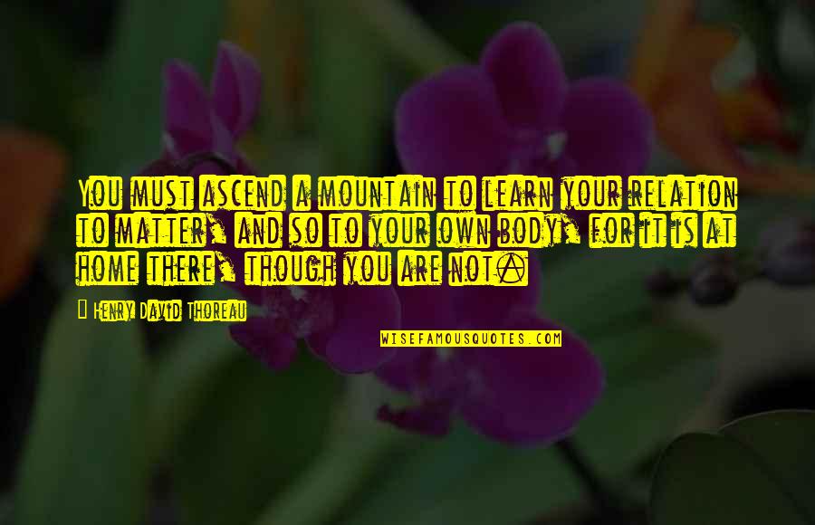 Ascend Quotes By Henry David Thoreau: You must ascend a mountain to learn your