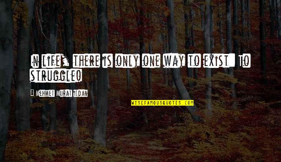 Ascendest Quotes By Mehmet Murat Ildan: In life, there is only one way to