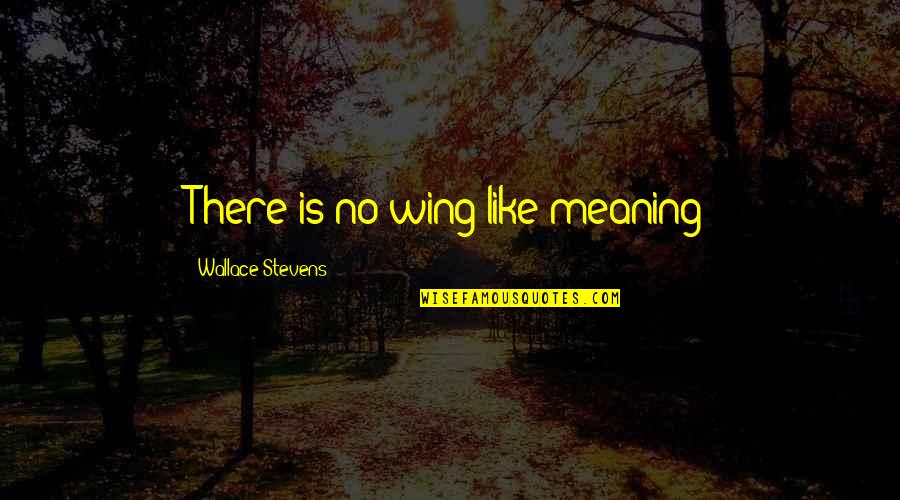 Asdrubal Meyer Quotes By Wallace Stevens: There is no wing like meaning