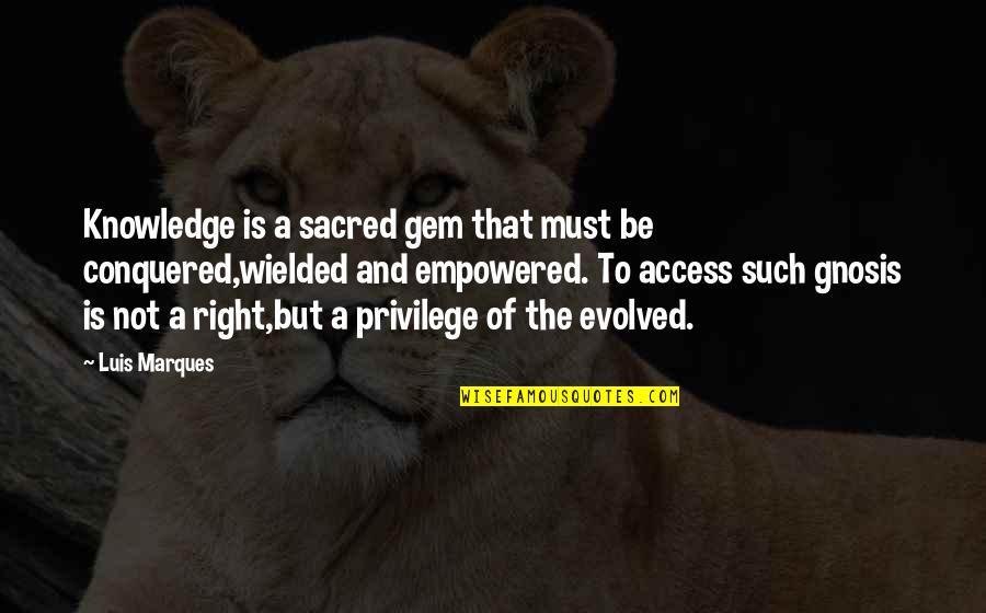 Asetians Quotes By Luis Marques: Knowledge is a sacred gem that must be