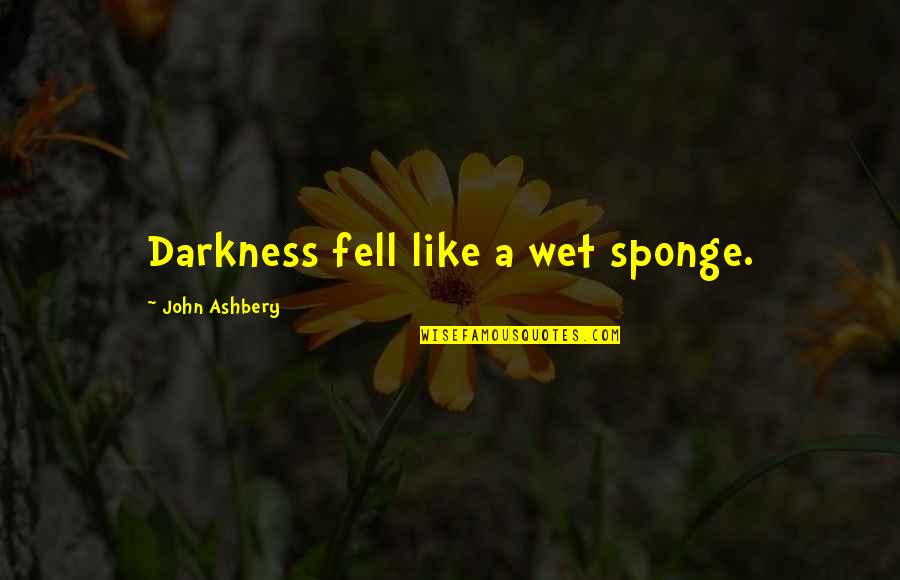 Ashbery Quotes By John Ashbery: Darkness fell like a wet sponge.