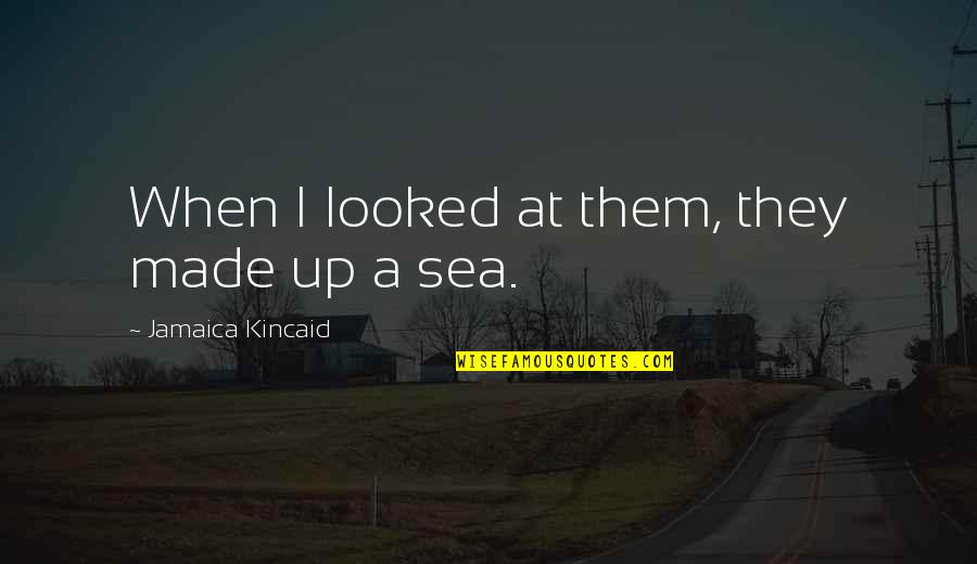 Ashcans Quotes By Jamaica Kincaid: When I looked at them, they made up