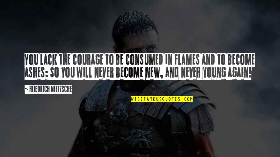 Ashes Quotes By Friedrich Nietzsche: You lack the courage to be consumed in