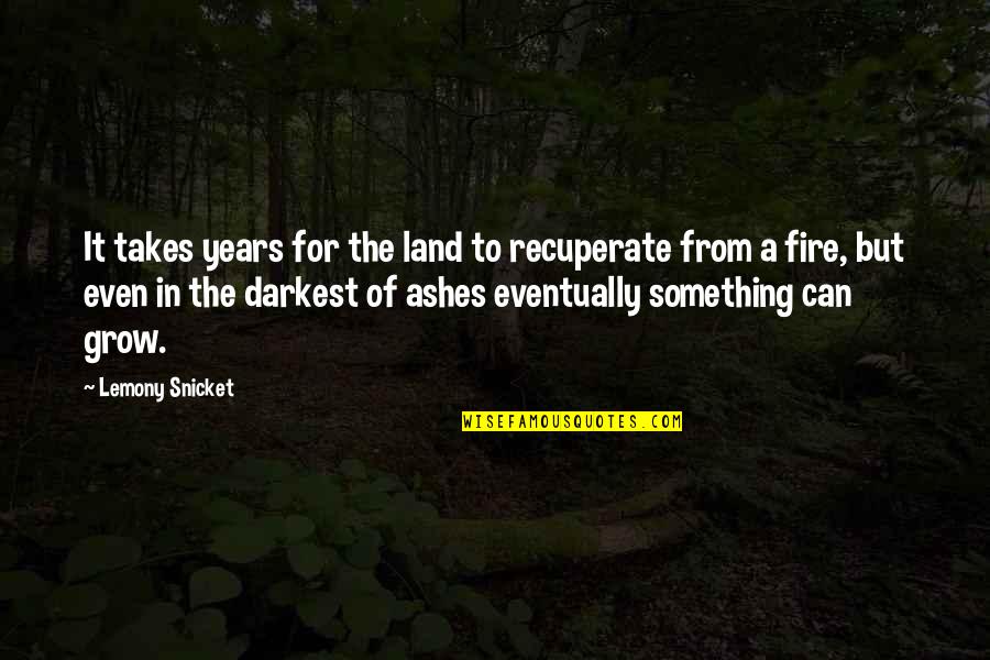 Ashes To Ashes Quotes By Lemony Snicket: It takes years for the land to recuperate