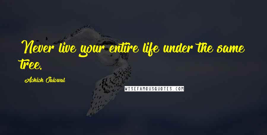 Ashish Jaiswal quotes: Never live your entire life under the same tree.