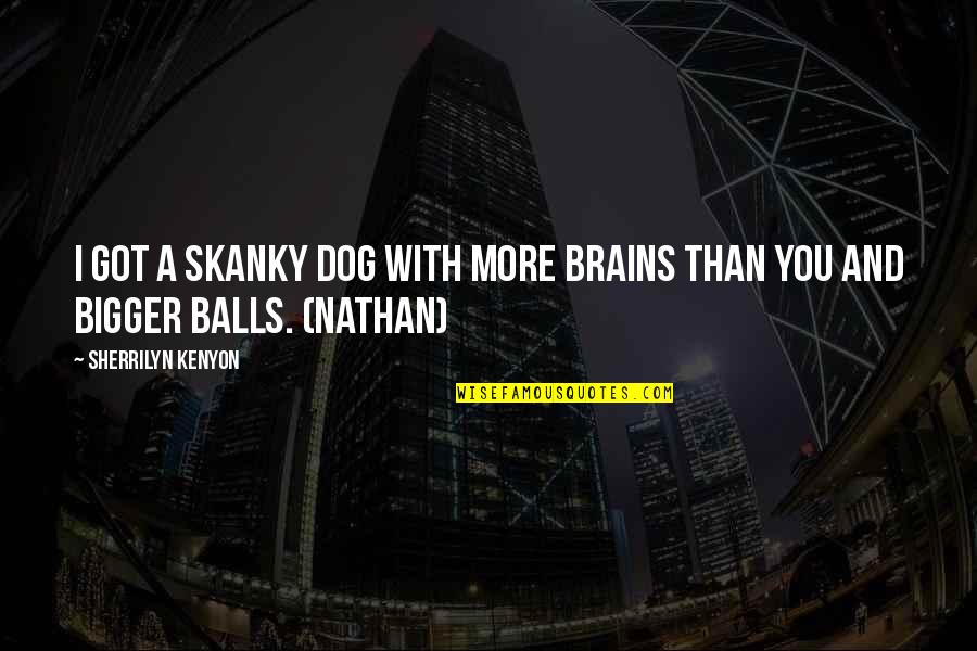Ashish Nehra Quotes By Sherrilyn Kenyon: I got a skanky dog with more brains